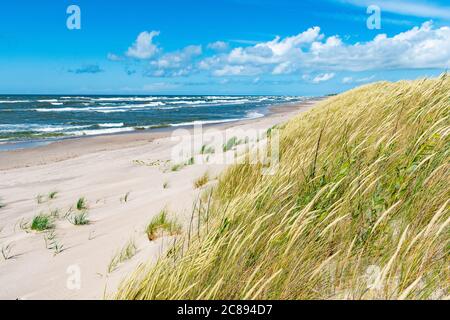 Schöner Sandstrand mit trockenem und grünem Gras, Schilf, Stängel, die im Wind wehen, blaues Meer mit Wellen an der Ostsee Stockfoto