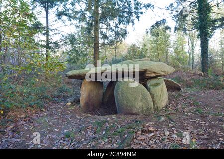 Megalithisches Steingrab - Dolmen in Morbihan Bretagne Frankreich Stockfoto