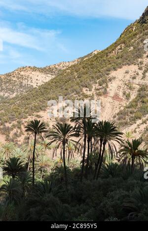 Paradise Valley, Taghrat, Marokko Stockfoto