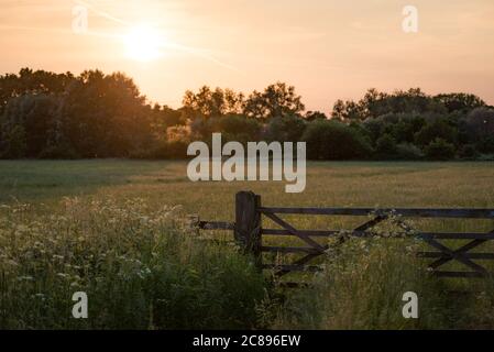 Ein Zaun und Tor in Cornmill Meadow, River Lee Country Park, Waltham Abbey, Essex Stockfoto