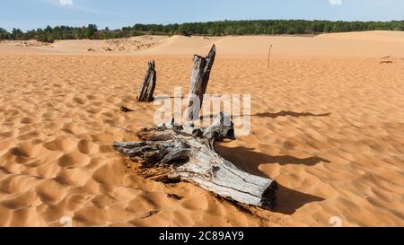 Holzlog in den Sanddünen von Mui Ne Stockfoto