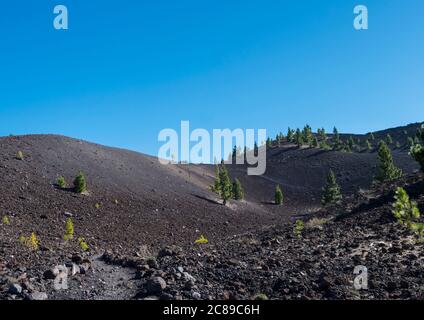 Wunderschöne Vulkanlandschaft mit üppigen grünen Pinien und bunten Vulkanen entlang der Ruta de los Volcanes, schöne Wanderweg bei La Palma Stockfoto