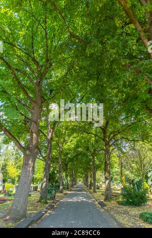 Gasse durch Pragfriedhof oder Pragfriedhof, Stuttgart, Baden-Württemberg, Süddeutschland, Europa Stockfoto