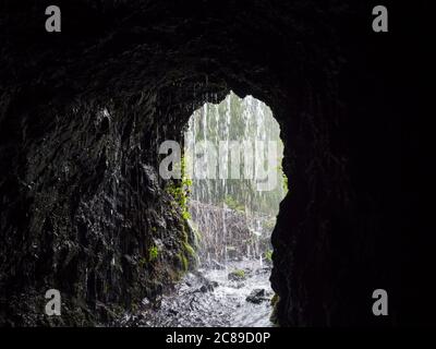 Blick vom dunklen Wasserkanal durch fließendes Wasser zum üppigen Dschungel auf dem Wanderweg Los Tilos am geheimnisvollen Lorbeerwald. Schönes Naturschutzgebiet Stockfoto