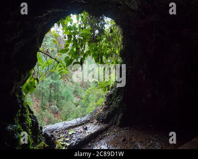 Blick vom dunklen Wasserkanal durch fließendes Wasser zum üppigen Dschungel auf dem Wanderweg Los Tilos am geheimnisvollen Lorbeerwald. Schönes Naturschutzgebiet Stockfoto