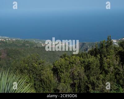 Blick vom Mirador Espigon del Travesado durch den Regenwald Canyon, Teil des Wanderweges Los Tilos in schönen geheimnisvollen laurisilva üppig Stockfoto