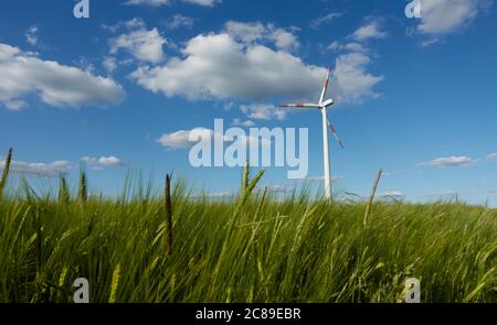 Windturbine vor grünem Weizenfeld, einige Stängel ragen weit ins Bild, blauer Himmel mit grauen Wolken. Unscharfe Bewegung. Stoetten, Deutschland. Stockfoto