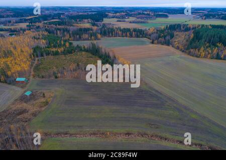Über die ländlichen Weiten des Herbstes Finnland Stockfoto