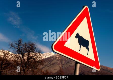 Warnzeichen von streunenden Haustieren mit Silhouette einer Kuh Stockfoto