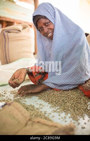 Eine Arbeiterin, die Qualitätssorten und Tüten in einem kooperativen Lager eines Kaffeebäuers in Mbale, Uganda, Ostafrika, von Hand getrocknete Kaffeebohnen Stockfoto