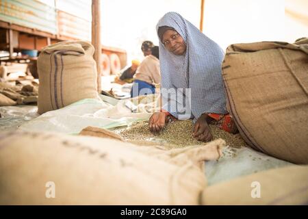 Eine Arbeiterin, die Qualitätssorten und Tüten in einem kooperativen Lager eines Kaffeebäuers in Mbale, Uganda, Ostafrika, von Hand getrocknete Kaffeebohnen Stockfoto