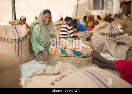 Eine lächelnde Arbeiterin Qualität sortiert und verpackt getrocknete Kaffeebohnen von Hand in einem kooperativen Lager eines Kaffeebäuers in Mbale, Uganda, Ostafrika. Stockfoto