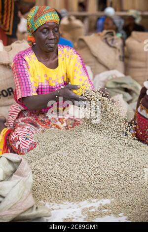 Eine Arbeiterin Qualität sortiert und verpackt getrocknete Kaffeebohnen von Hand in einem kooperativen Lager eines Kaffeebäuers in Mbale, Uganda, Ostafrika. Stockfoto