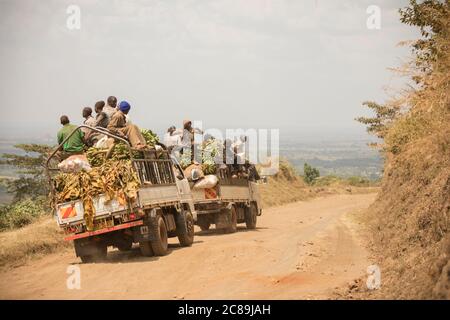 Lastwagen fahren auf steilen Mt. Elgon Bergstraßen voll mit Passagieren und landwirtschaftlichen Produkten in Bulambuli Dist., Uganda, Afrika. Stockfoto