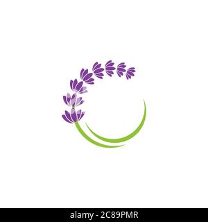 Lavendel Blume Vektor icon Abbildung Design Template Stock Vektor