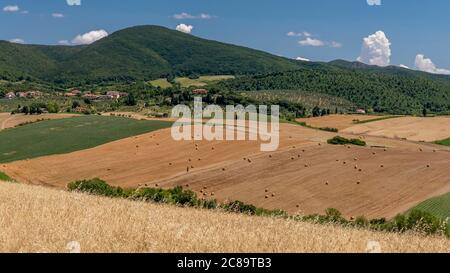 Wunderbarer Blick auf die toskanische Landschaft in der Nähe von Santa Luce, Pisa, Italien, in der Sommersaison mit Heuballen auf den Feldern Stockfoto