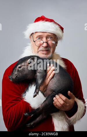 Reifen kaukasischen Mann in Santa Claus roten Anzug und Hut hält kleine niedliche schwarze Piggy Posen im Studio über weißem Hintergrund. Neujahrsfeier Conce Stockfoto