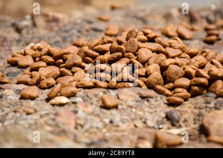 Ein paar Handvoll Katzenfutter unter der Sonne draußen. Stockfoto