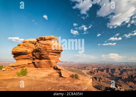 Felsen im Canyonlands National Park, Utah Stockfoto