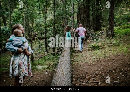 Vater hilft Tochter gehen auf log, während Mutter zuschaut Stockfoto