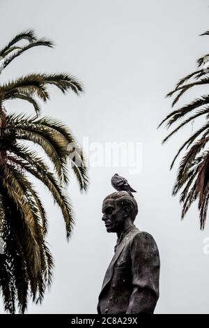 Taube auf der Statue mit Palmen. Stockfoto