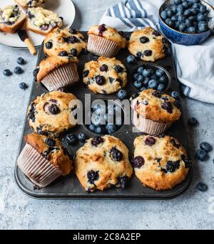 Blick von oben auf Heidelbeer-Muffins in Backform auf Betontheke. Stockfoto