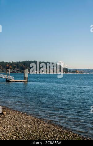 Blick vom Ufer in Gig Harbor, Washington, zeigt verschneiten Mt. Rainier, hinter einem bewaldeten Landspieß am gegenüberliegenden Ufer. Stockfoto
