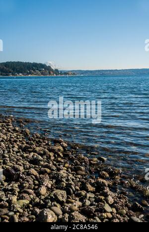 Blick vom Ufer in Gig Harbor, Washington, zeigt verschneiten Mt. Rainier, hinter einem bewaldeten Landspieß am gegenüberliegenden Ufer. Stockfoto