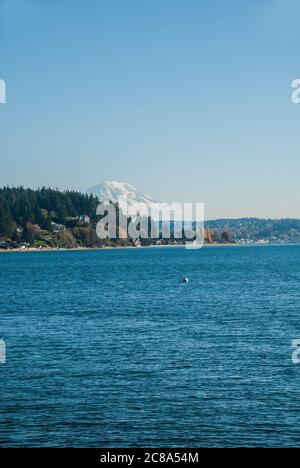 Blick vom Ufer in Gig Harbor, Washington, zeigt verschneiten Mt. Rainier, hinter einem bewaldeten Landspieß am gegenüberliegenden Ufer. Stockfoto