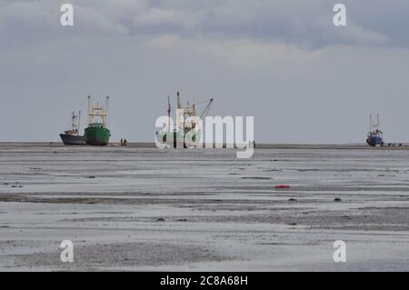 Kommerzielle Fischerboote von Boston und King's Lynn, die in der Wash, einer großen Bucht an der Ostküste Englands, von Hand-Raking Cockles, fahren. Stockfoto