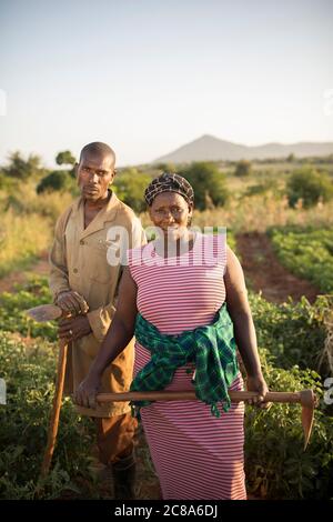 Eine Frau und ein Ehemann stehen zusammen und halten Hacken auf ihrer Farm im Makueni County, Kenia, Afrika. Stockfoto