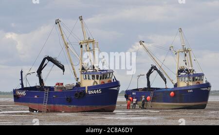 Kommerzielle Fischerboote von Boston und King's Lynn, die in der Wash, einer großen Bucht an der Ostküste Englands, von Hand-Raking Cockles, fahren. Stockfoto