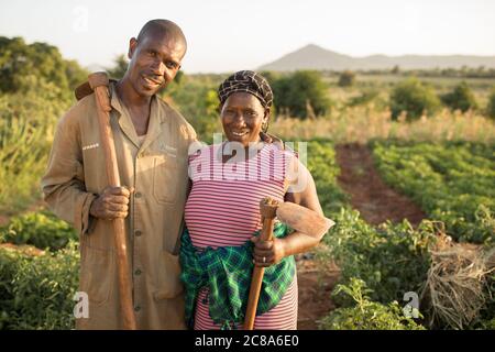 Eine Frau und ein Ehemann stehen zusammen und halten Hacken auf ihrer Farm im Makueni County, Kenia, Afrika. Stockfoto