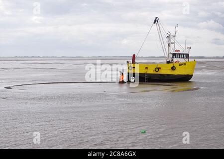 Kommerzielle Fischerboote von Boston und King's Lynn, die in der Wash, einer großen Bucht an der Ostküste Englands, von Hand-Raking Cockles, fahren. Stockfoto