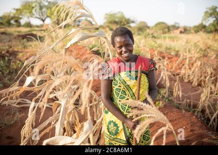 Mary Muinde (20), Regina Mwangangangis Schwiegertochter, steht auf dem Bauernhof im Makueni County, Kenia, auf den Maisfeldern der Familie. LWR Jesaja 58 projec Stockfoto