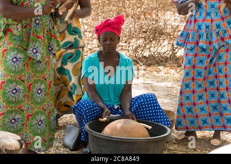 Eine ethnische Mandingo (Mandinka) Frau spielt Trommeln während einer traditionellen, zeremoniellen Musikaufführung in ihrem Dorf, Gambia, Westafrika. Stockfoto