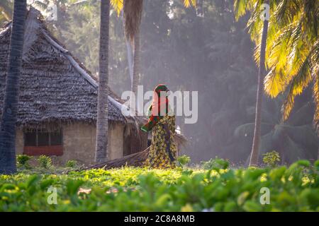 Sansibar, Paje - Januar 2020: Muslimische Afrikanerin, die am Abend in der Nähe ihrer überdachten Hütte zwischen Palmen im Garten spaziert Stockfoto