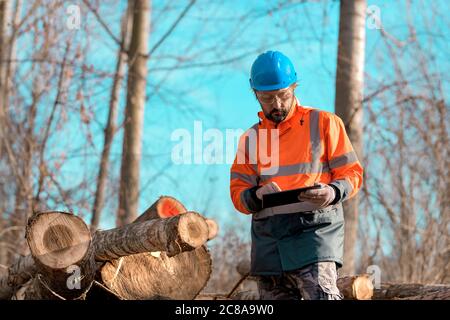 Forsttechniker, der einen digitalen Tablet-Computer in der Waldstruktur verwendet, um während der Entwaldung Daten zu erfassen Stockfoto