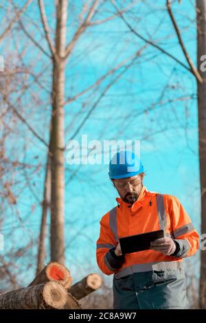 Forsttechniker, der einen digitalen Tablet-Computer in der Waldstruktur verwendet, um während der Entwaldung Daten zu erfassen Stockfoto