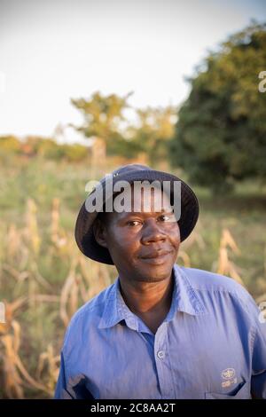 Porträt eines Bauern, der in einem Maisfeld in einem Hut steht - Makueni County, Kenia, Ostafrika. Stockfoto