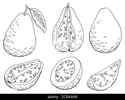 Guava Obst Grafik Set schwarz weiß isoliert Skizze Illustration Vektor Stock Vektor