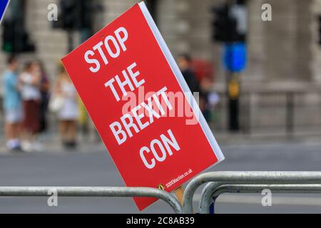 Westminster, London, Großbritannien. Juli 2020. Westminster 'Stop-Brexit man' Steven Bray und seine pro-europäischen Aktivisten sind wieder vor dem Parlament, diesmal auch mit einem Russland-Thema, um die Reaktion der Regierung auf die gestrige Veröffentlichung des Russland-Berichts zu kommentieren. Kredit: Imageplotter/Alamy Live Nachrichten Stockfoto