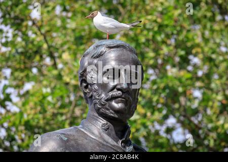 London, Großbritannien. Juli 2020. Eine freche, braunköpfige Möwe sonnen sich auf der Statue des Generalmajors Sir Henry Havelock. Die Menschen genießen heute die wunderschöne Sonne und die warmen Temperaturen rund um den Trafalgar Square in London. Kredit: Imageplotter/Alamy Live Nachrichten Stockfoto