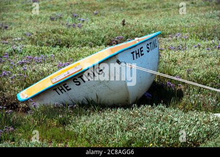 Morston Quay, Norfolk, Großbritannien. Kleine Fiberglas-Tender der Sting liegt im reichlich vorhandenen Common Sea Lavender, Limonium vulgare, innerhalb des Blakeney National Nature Reserve Salzmoores am Morston Quay. Quelle: Stephen Bell/Alamy. Stockfoto