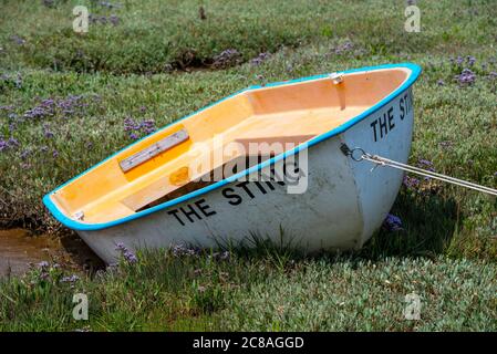 Morston Quay, Norfolk, Großbritannien. Kleine Fiberglas-Tender der Sting liegt im reichlich vorhandenen Common Sea Lavender, Limonium vulgare, innerhalb des Blakeney National Nature Reserve Salzmoores am Morston Quay. Quelle: Stephen Bell/Alamy. Stockfoto