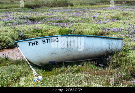 Morston Quay, Norfolk, Großbritannien. Kleine Fiberglas-Tender der Sting liegt im reichlich vorhandenen Common Sea Lavender, Limonium vulgare, innerhalb des Blakeney National Nature Reserve Salzmoores am Morston Quay. Quelle: Stephen Bell/Alamy. Stockfoto