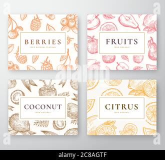 Handgezeichnetes Kartenset mit Kokosnuss, Zitrus, Beeren und Früchten. Abstrakte Vektor Skizze Hintergründe Kollektion mit klassischen Retro Typografie. Kokosnüsse Stock Vektor