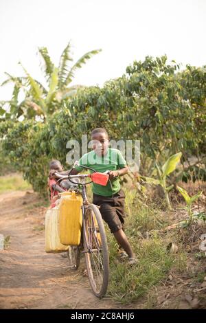 Kinder nutzen ein Fahrrad, um Wasser in einem ländlichen Dorf im Rakai District, Uganda, Ostafrika zu holen und zu transportieren. Stockfoto