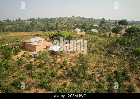 Kaffee und Bananenbäume umgeben das Haus des Village Enterprise Agent James Kabiito im Masaka District, Uganda. LWR Uganda Youth SEED Project. Februar Stockfoto