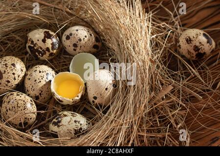 Mehrere Wachteleier in einem dekorativen Nest aus Stroh auf einem Holztisch Nahaufnahme, Kopierraum, obere Aussicht Stockfoto